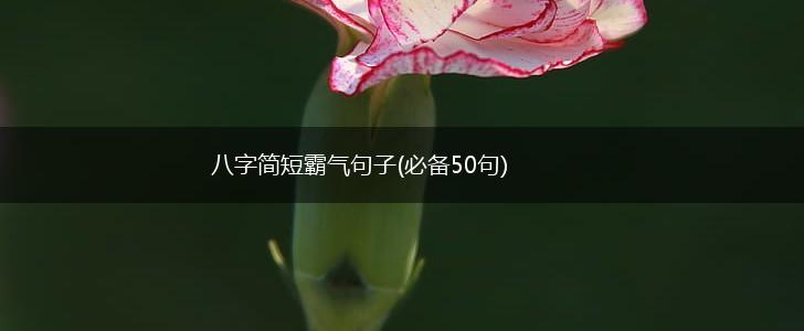 八字简短霸气句子(必备50句),第1张