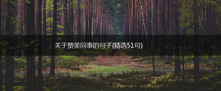 关于赞美同事的句子(精选51句),第1张