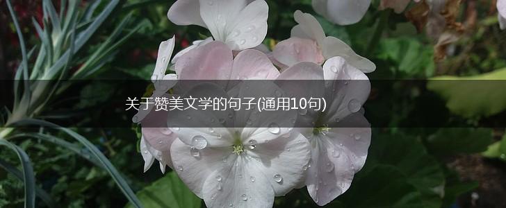关于赞美文学的句子(通用10句),第1张