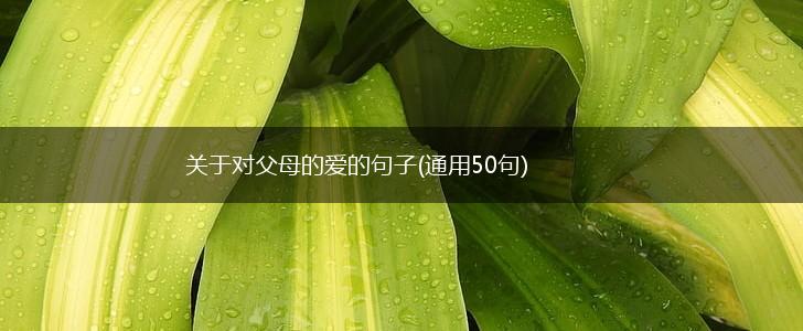 关于对父母的爱的句子(通用50句),第1张