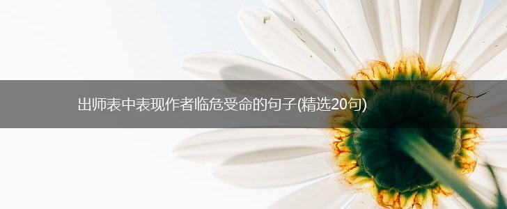 出师表中表现作者临危受命的句子(精选20句),第1张