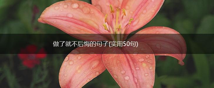 做了就不后悔的句子(实用50句),第1张