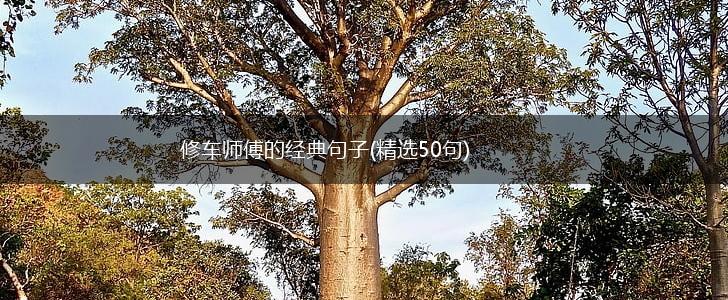 修车师傅的经典句子(精选50句),第1张