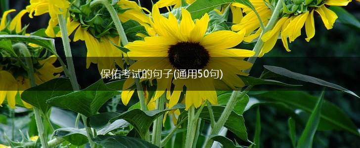 保佑考试的句子(通用50句),第1张