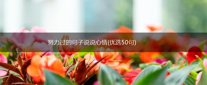 努力过的句子说说心情(优选50句),第1张
