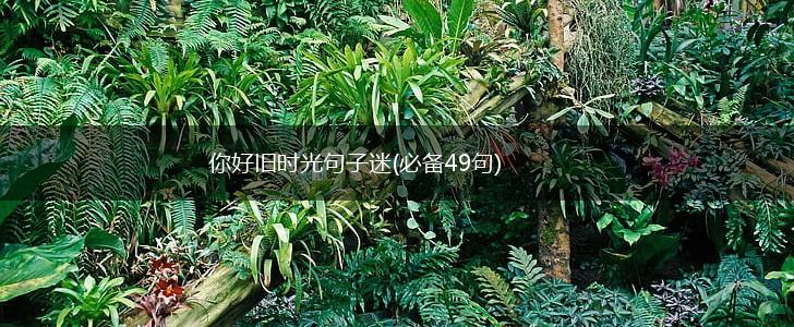 你好旧时光句子迷(必备49句),第1张