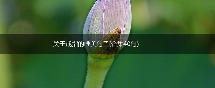 关于戒指的唯美句子(合集40句),第1张