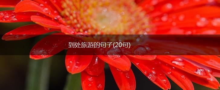 到处旅游的句子(20句),第1张