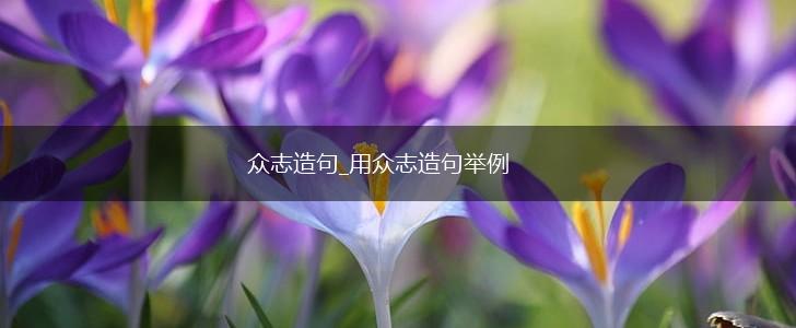 众志造句_用众志造句举例,第1张