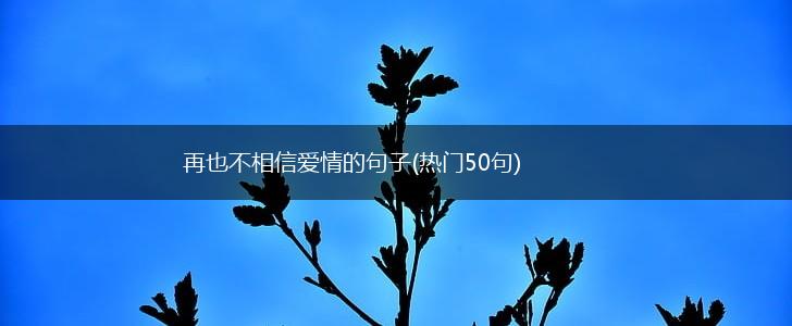 再也不相信爱情的句子(热门50句),第1张