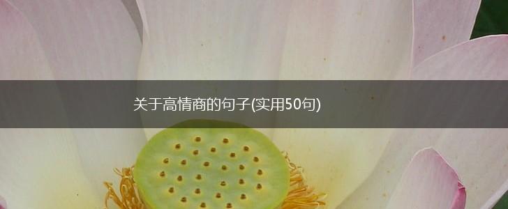关于高情商的句子(实用50句),第1张