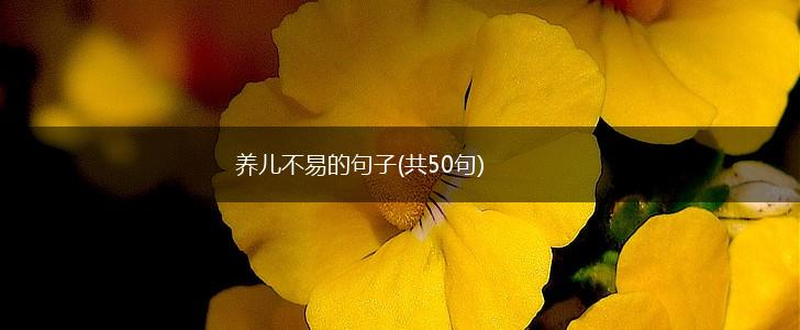 养儿不易的句子(共50句),第1张