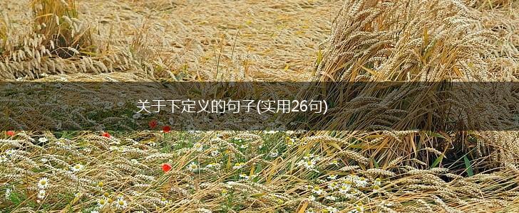 关于下定义的句子(实用26句),第1张
