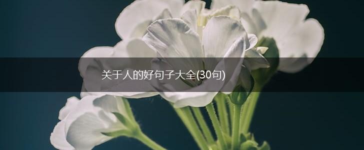 关于人的好句子大全(30句),第1张