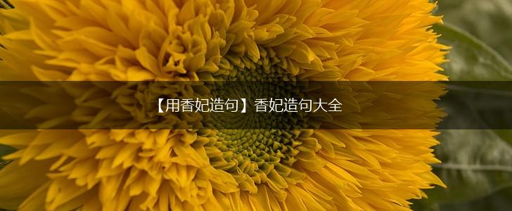 【用香妃造句】香妃造句大全,第1张