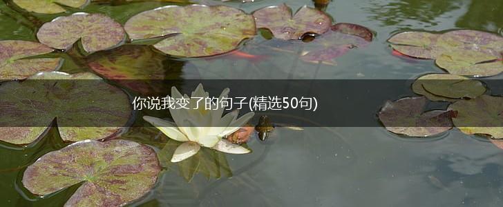 你说我变了的句子(精选50句),第1张