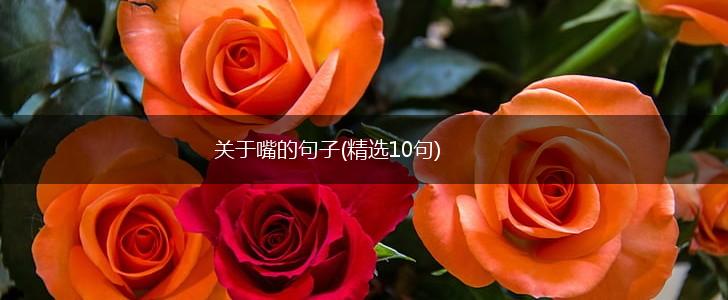 关于嘴的句子(精选10句),第1张