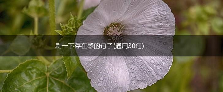 刷一下存在感的句子(通用30句),第1张