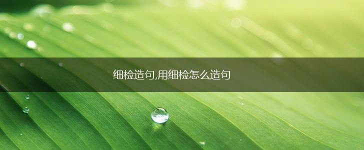 细检造句,用细检怎么造句,第1张