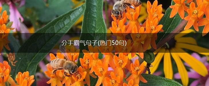 分手霸气句子(热门50句),第1张