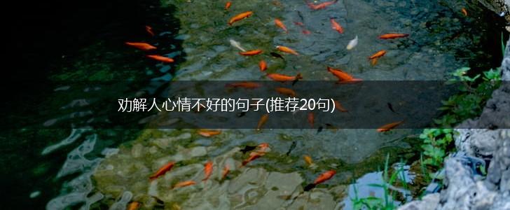 劝解人心情不好的句子(推荐20句),第1张