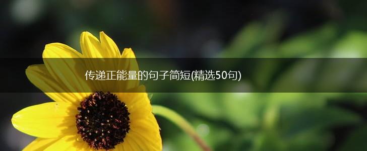 传递正能量的句子简短(精选50句),第1张