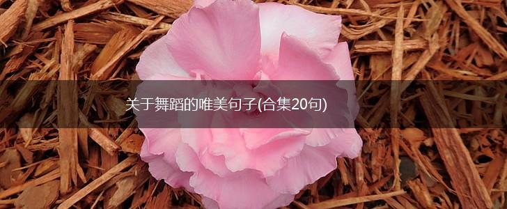 关于舞蹈的唯美句子(合集20句),第1张