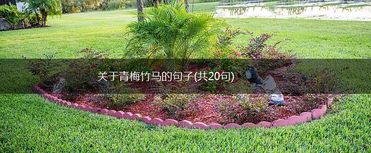关于青梅竹马的句子(共20句),第1张