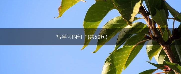 写学习的句子(共50句),第1张