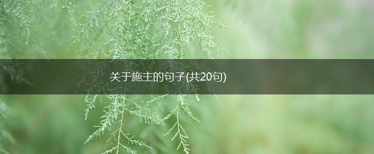 关于施主的句子(共20句),第1张