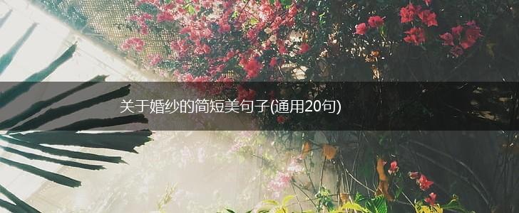 关于婚纱的简短美句子(通用20句),第1张