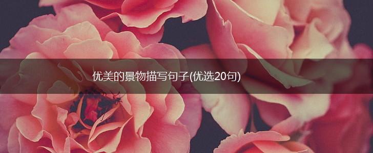 优美的景物描写句子(优选20句),第1张
