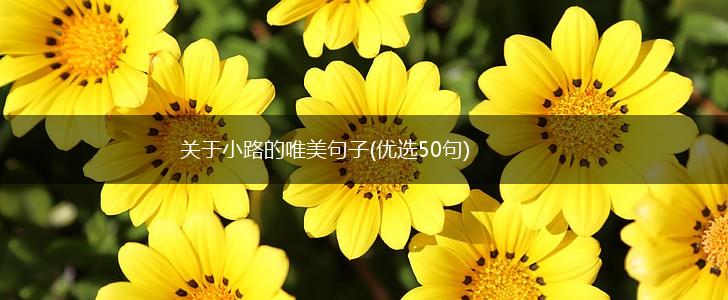关于小路的唯美句子(优选50句),第1张