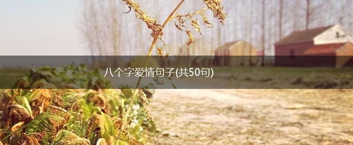 八个字爱情句子(共50句),第1张