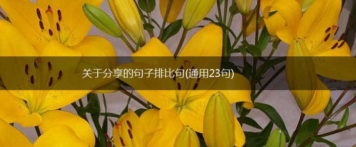 关于分享的句子排比句(通用23句),第1张