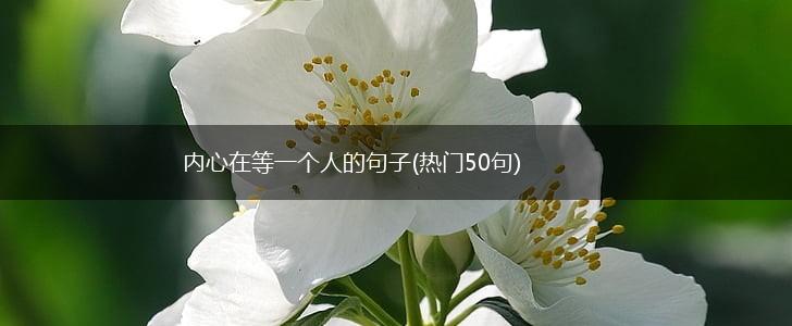 内心在等一个人的句子(热门50句),第1张