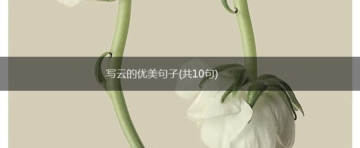 写云的优美句子(共10句),第1张