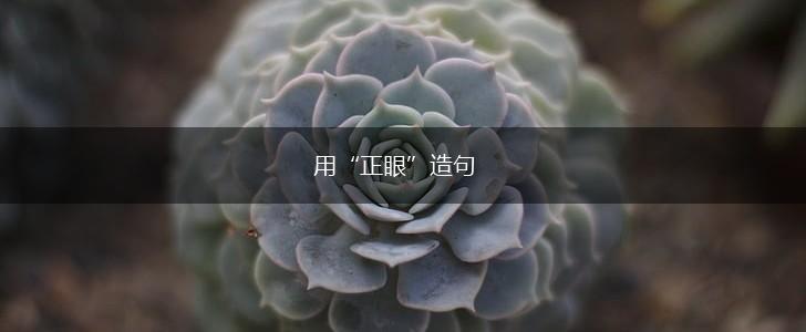 用“正眼”造句,第1张
