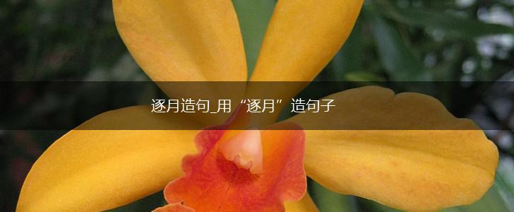 逐月造句_用“逐月”造句子,第1张