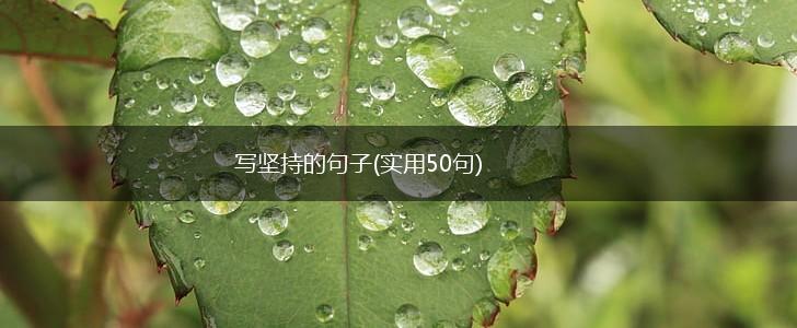 写坚持的句子(实用50句),第1张
