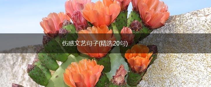 伤感文艺句子(精选20句),第1张