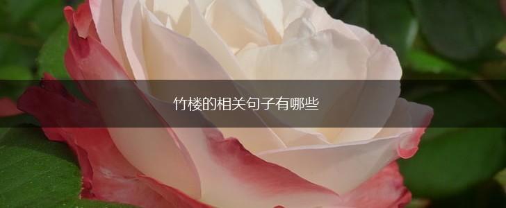 竹楼的相关句子有哪些,第1张