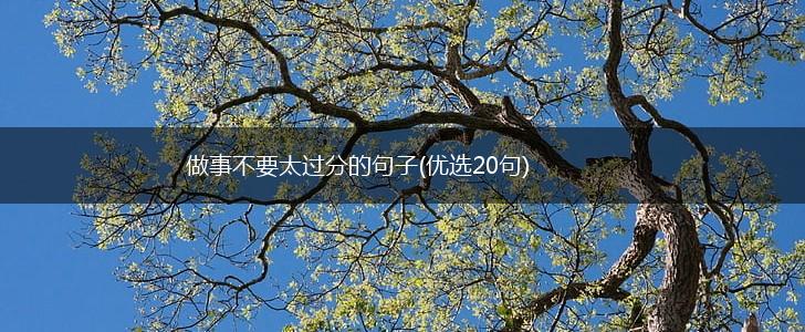 做事不要太过分的句子(优选20句),第1张