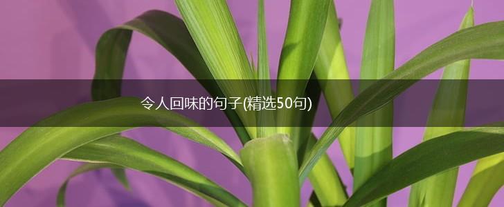 令人回味的句子(精选50句),第1张