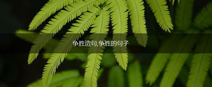 争胜造句,争胜的句子,第1张