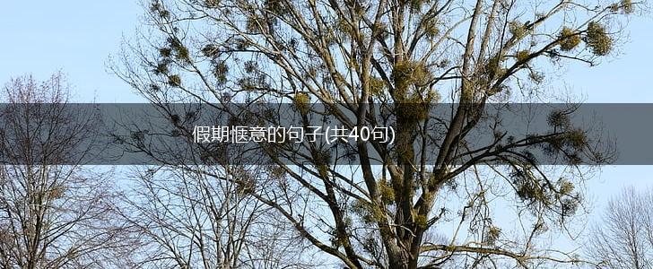 假期惬意的句子(共40句),第1张