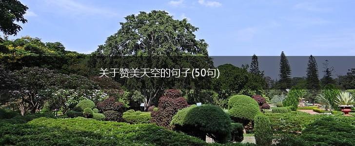 关于赞美天空的句子(50句),第1张