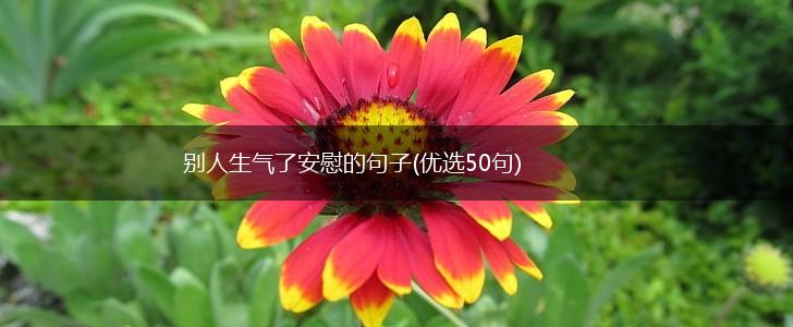 别人生气了安慰的句子(优选50句),第1张