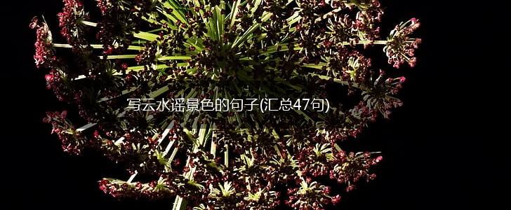 写云水谣景色的句子(汇总47句),第1张
