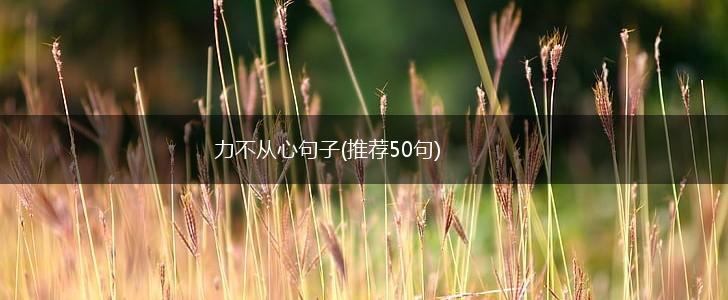 力不从心句子(推荐50句),第1张